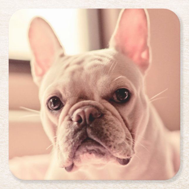 French Bulldog Puppy Square Paper Coaster (Front)