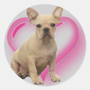 French bulldog puppy stickers