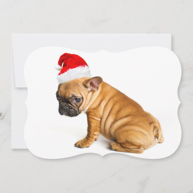 French bulldog puppy wearing a Santa Claus hat Holiday Card (Front)