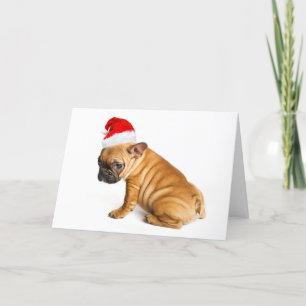French bulldog puppy wearing Santa Claus hat Holiday Card