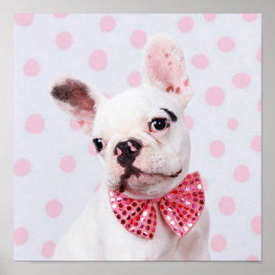 French Bulldog Puppy With Polka Dots Poster