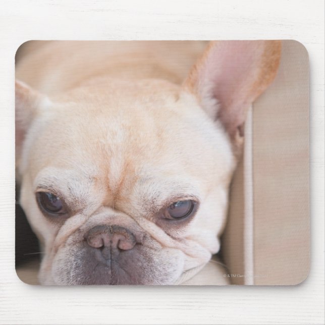 French bulldog resting on sofa mouse mat (Front)