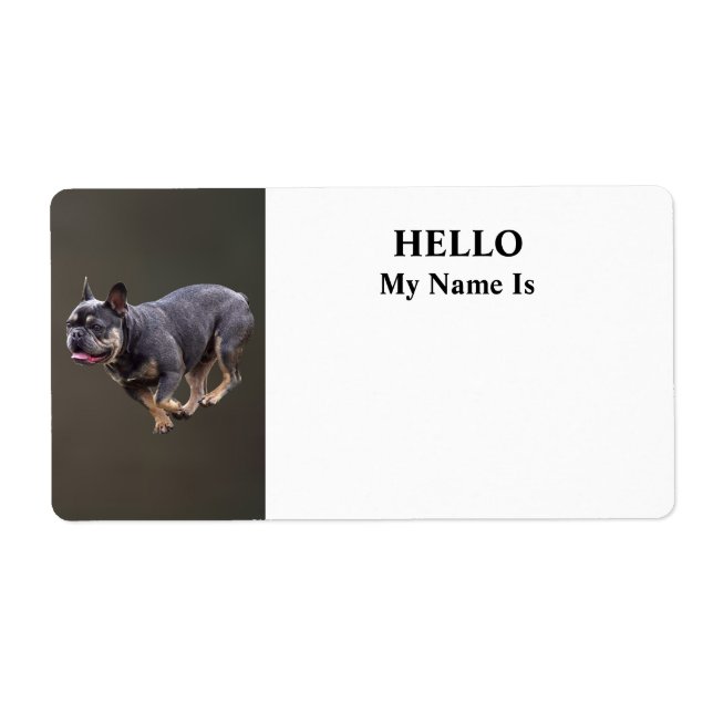 French Bulldog Running (Front)