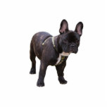 French Bulldog sculpture, gift idea Standing Photo Sculpture<br><div class="desc">Cute little black french bulldog sculpture.  great gift idea for dog lovers,  kids,  children</div>