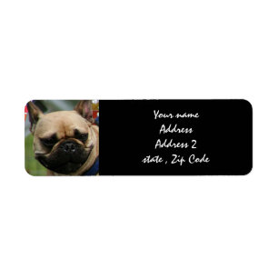 French Bulldog shipping labels
