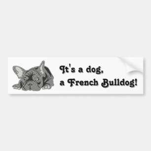 French Bulldog sitting Bumper Sticker