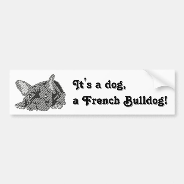 French Bulldog sitting Bumper Sticker (Front)