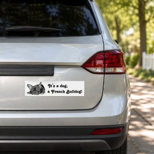 French Bulldog sitting Bumper Sticker