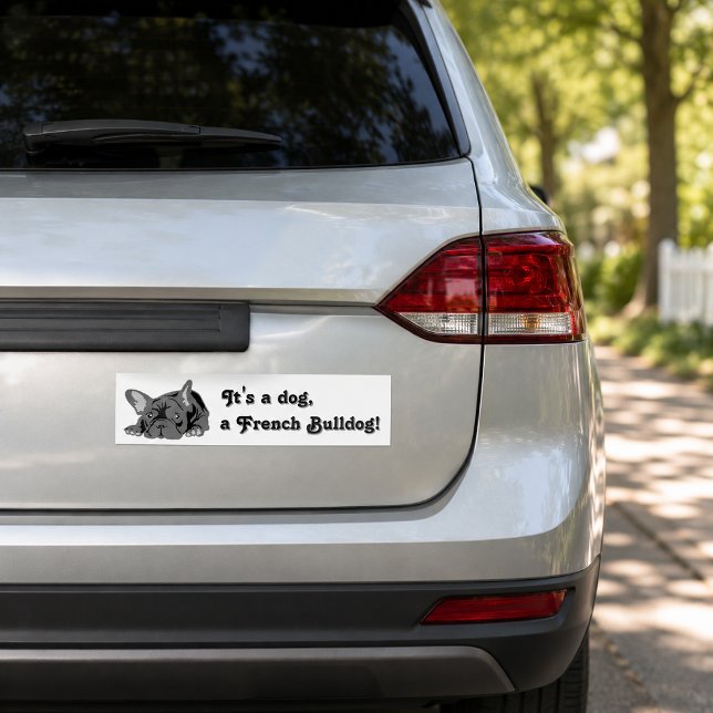 French Bulldog sitting Bumper Sticker (Creator Uploaded)