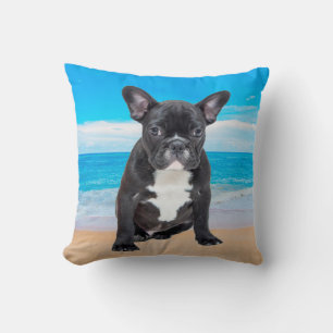 French Bulldog Sitting On Beach Cushion