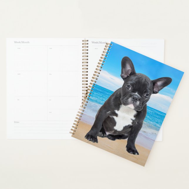 French Bulldog Sitting On Beach Planner (Display)