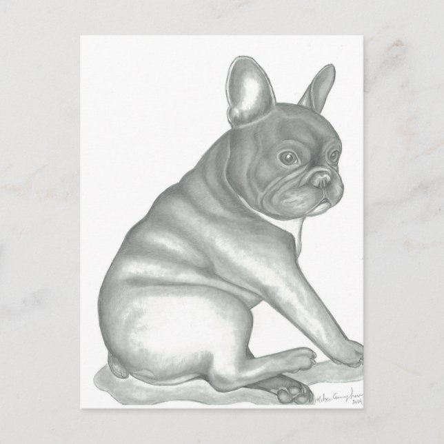 French Bulldog sketch postcards (Front)