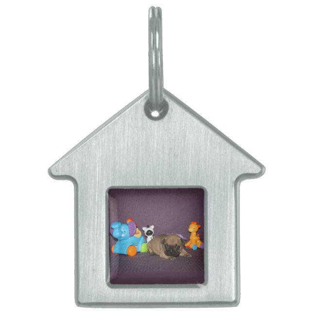 French Bulldog small puppy Bulldog Pet ID Tag (Front)