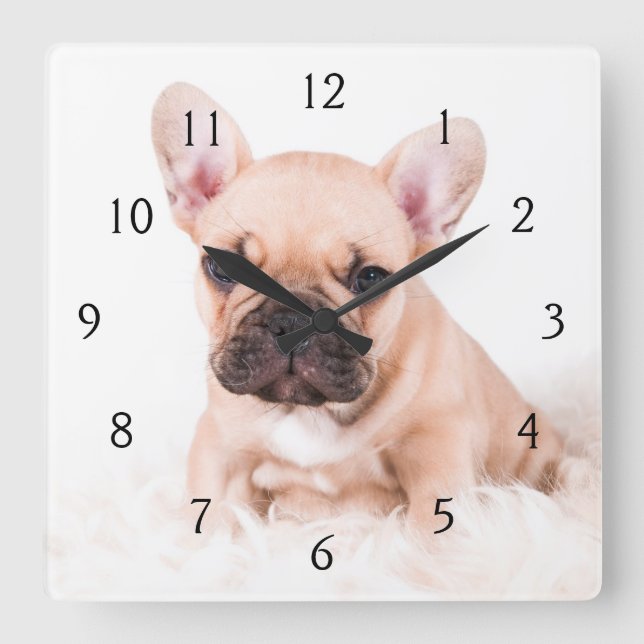 French Bulldog Square Wall Clock (Front)
