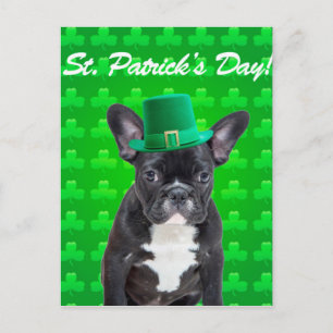 French Bulldog St Patrick's Day Postcard
