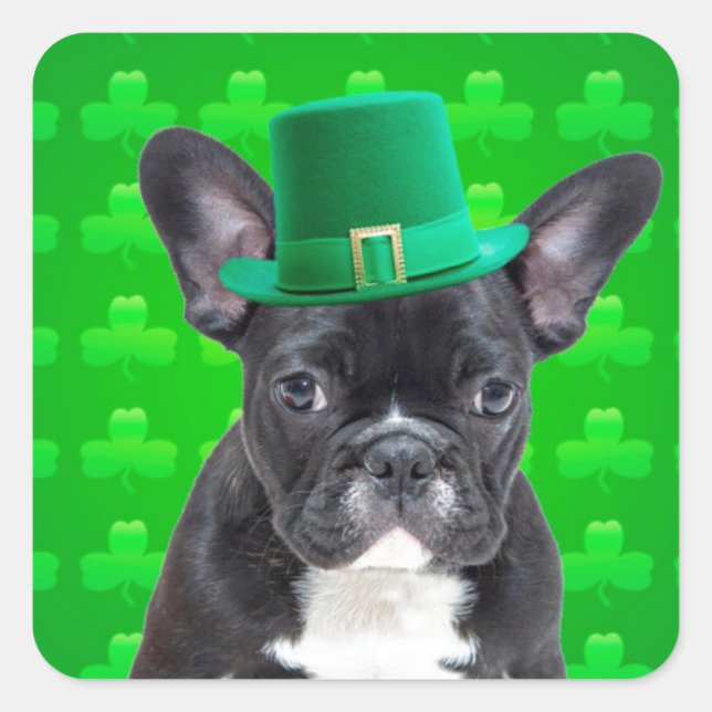 French Bulldog St Patrick's Day Square Sticker (Front)