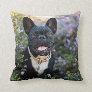 French Bulldog Stands in Flowers Cushion