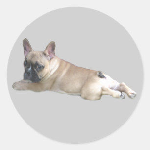 French Bulldog Sticker