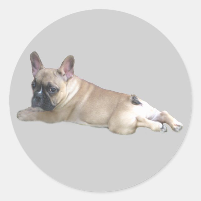 French Bulldog Sticker (Front)