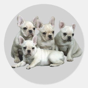 French Bulldog Sticker