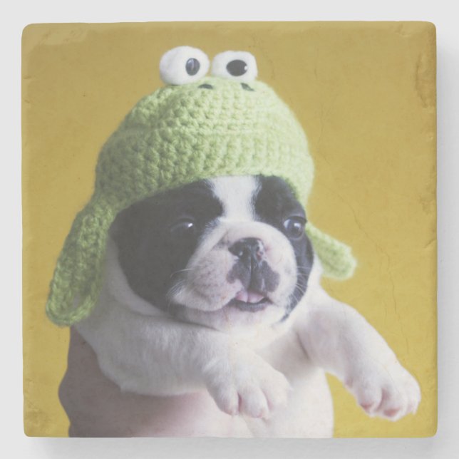 French Bulldog Stone Coaster (Front)