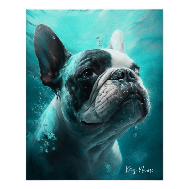 French Bulldog swimming in water 011 Poster (Front)