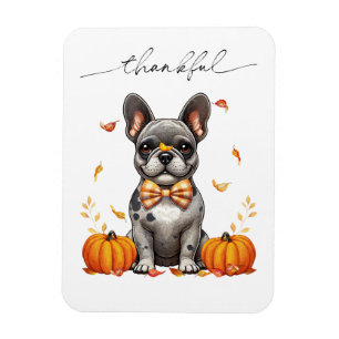 French Bulldog Thankful Fall Leaves Pumpkins Magnet
