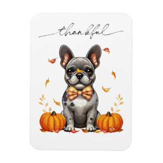 French Bulldog Thankful Fall Leaves Pumpkins Magnet
