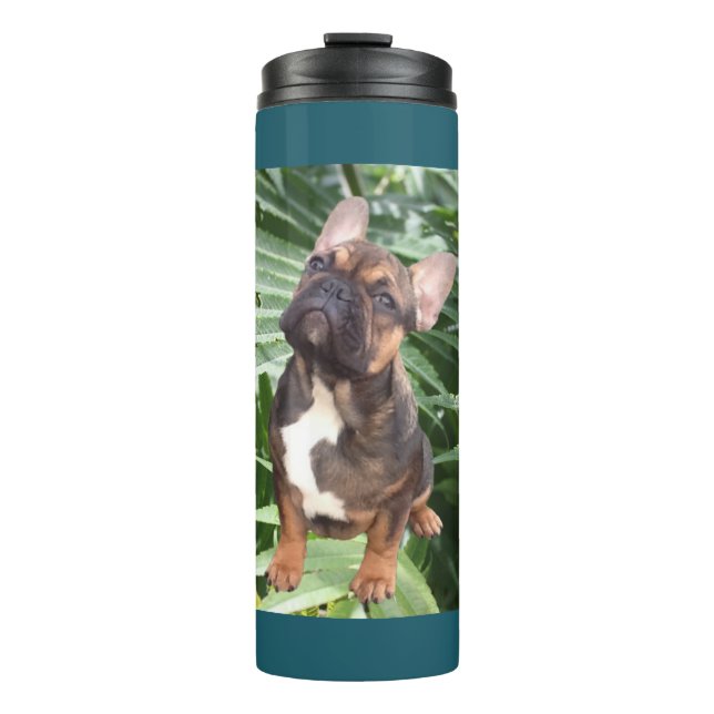 French Bulldog thermos mug (Front)