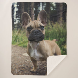 French Bulldog Throw Pillow