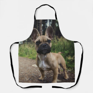 French Bulldog Throw Pillow Apron