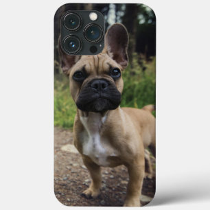 French Bulldog Throw Pillow iPhone 13 Pro Max Case