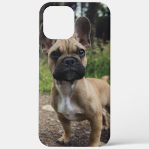 French Bulldog Throw Pillow iPhone 12 Pro Max Case
