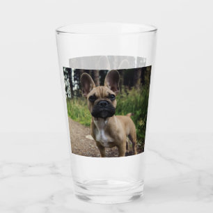 French Bulldog Throw Pillow Glass