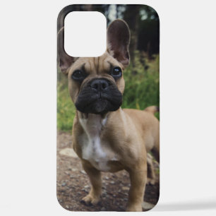 French Bulldog Throw Pillow iPhone 12 Pro Max Case
