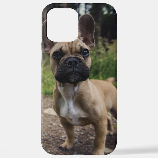 French Bulldog Throw Pillow iPhone Case (Back)