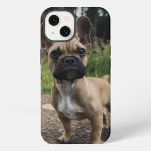 French Bulldog Throw Pillow iPhone 13 Case