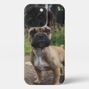 French Bulldog Throw Pillow iPhone 13 Pro Case
