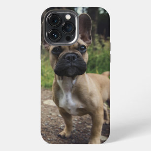 French Bulldog Throw Pillow iPhone 13 Pro Max Case
