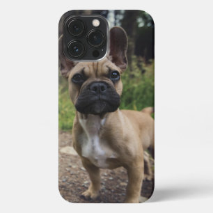 French Bulldog Throw Pillow iPhone 13 Pro Max Case