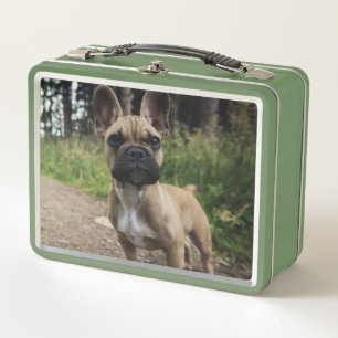 French Bulldog Throw Pillow Metal Lunch Box