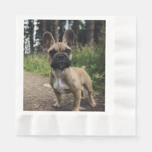 French Bulldog Throw Pillow Napkin