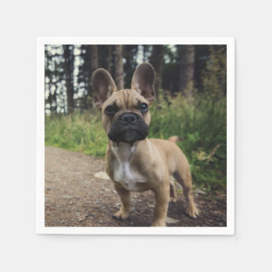 French Bulldog Throw Pillow Napkin