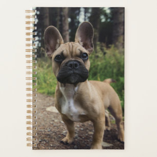 French Bulldog Throw Pillow Planner