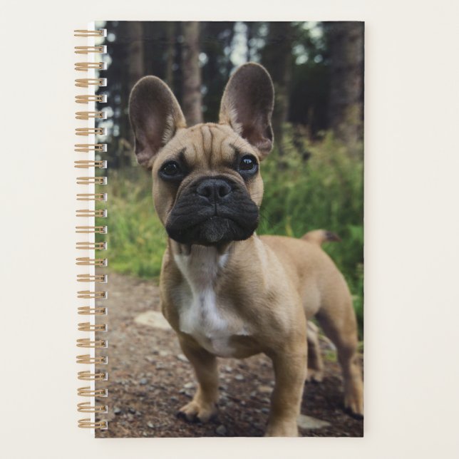 French Bulldog Throw Pillow Planner (Front)