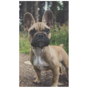 French Bulldog Throw Pillow Tablecloth