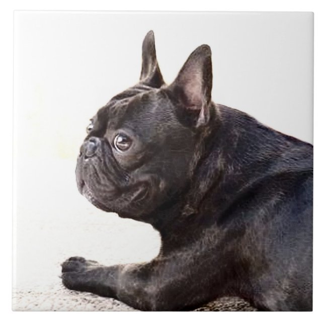 French Bulldog Tile (Front)