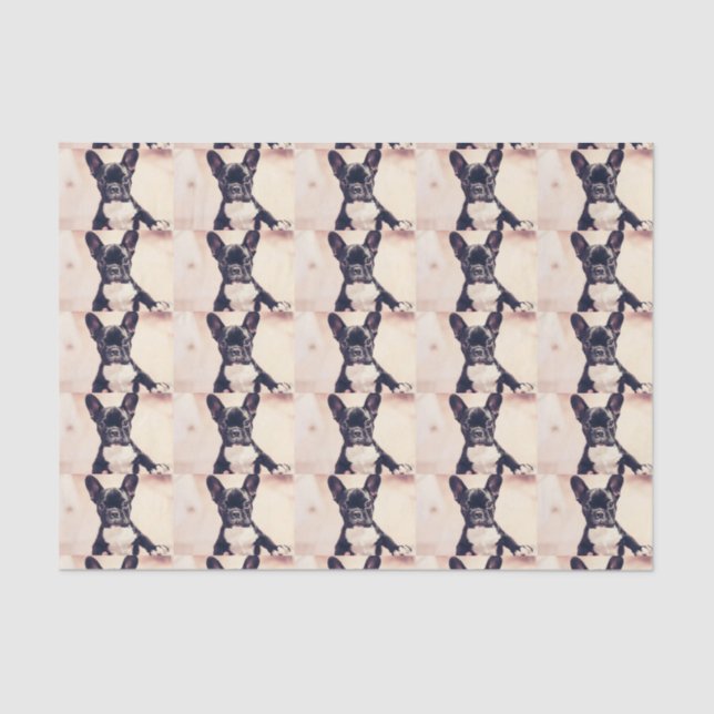 French Bulldog Tissue Paper (Front)