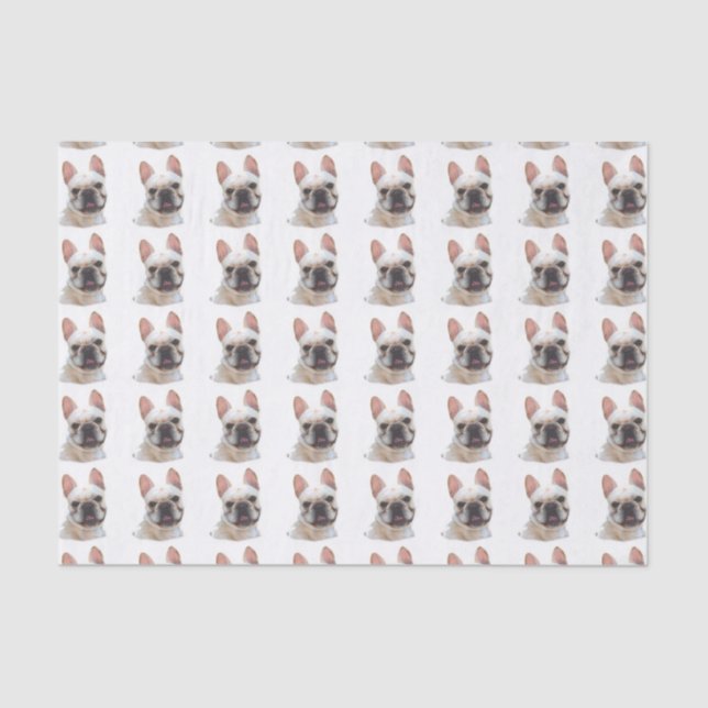 French Bulldog tissue paper (Front)