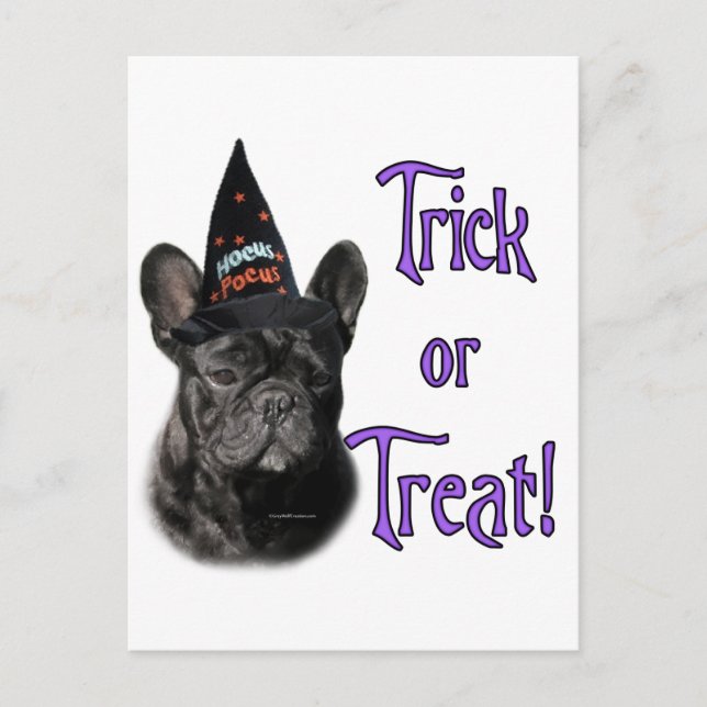 French Bulldog Trick Postcard (Front)